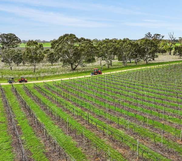 Koppamurra For Sale by Farmbuy.com - image 5