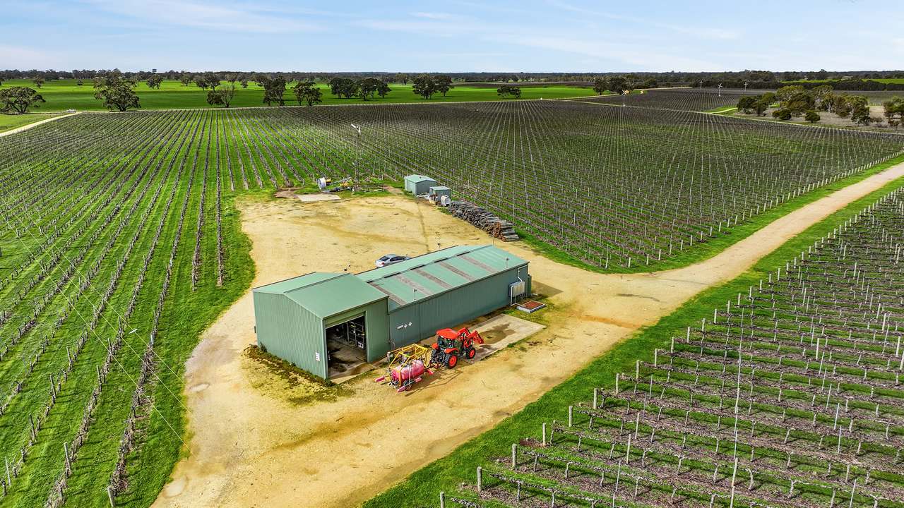 Koppamurra For Sale by Farmbuy.com - image 4