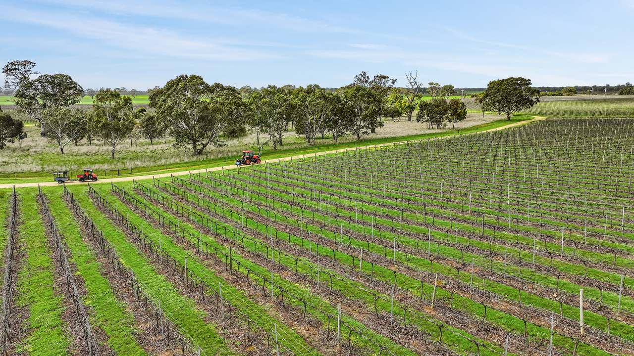 Koppamurra For Sale by Farmbuy.com - image 7