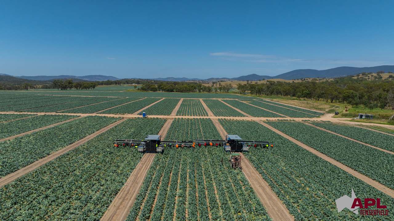 1696 & 1799 New England Highway, Tenterfield Auction by Farmbuy.com - image 7