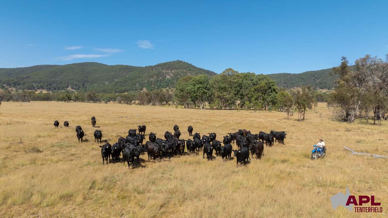1696 & 1799 New England Highway, Tenterfield Auction by Farmbuy.com - image 18