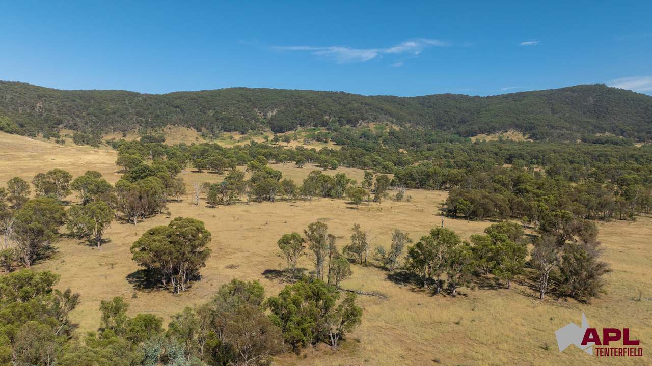 1696 & 1799 New England Highway, Tenterfield Auction by Farmbuy.com - image 14