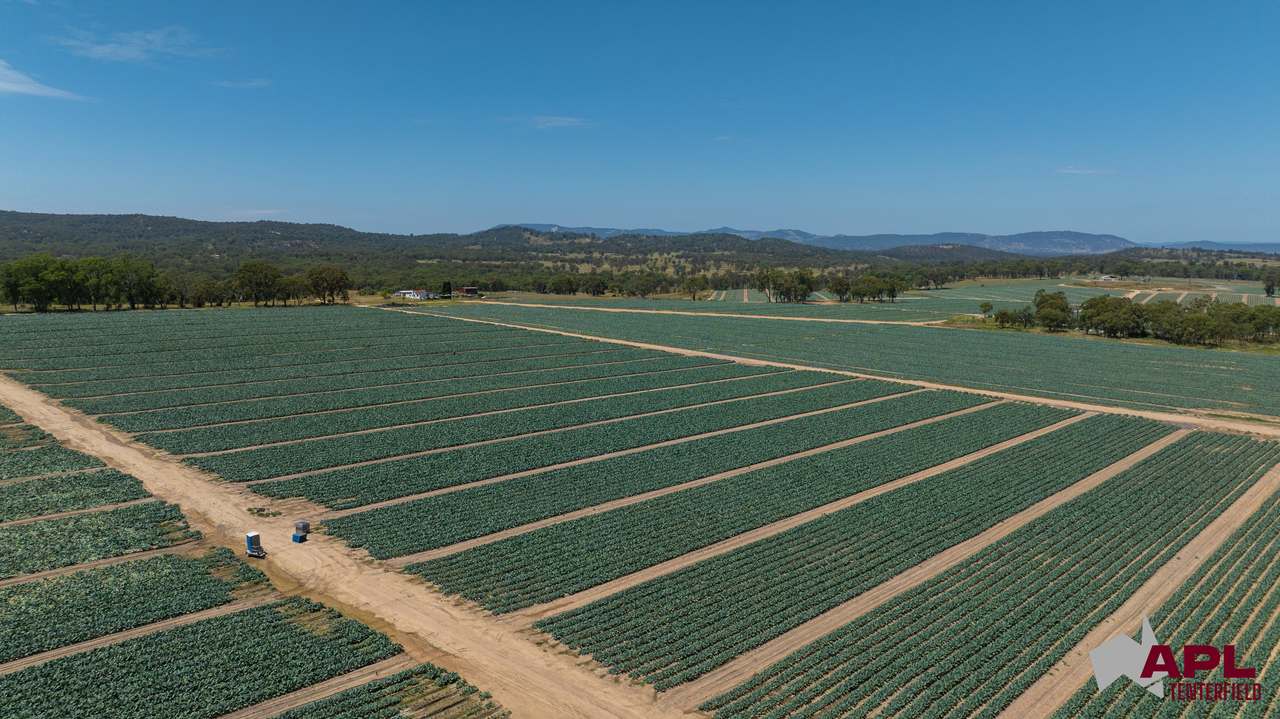 1696 & 1799 New England Highway, Tenterfield Auction by Farmbuy.com - image 24