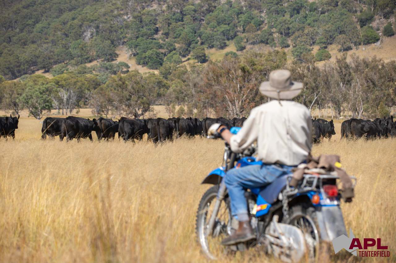 1696 & 1799 New England Highway, Tenterfield Auction by Farmbuy.com - image 9