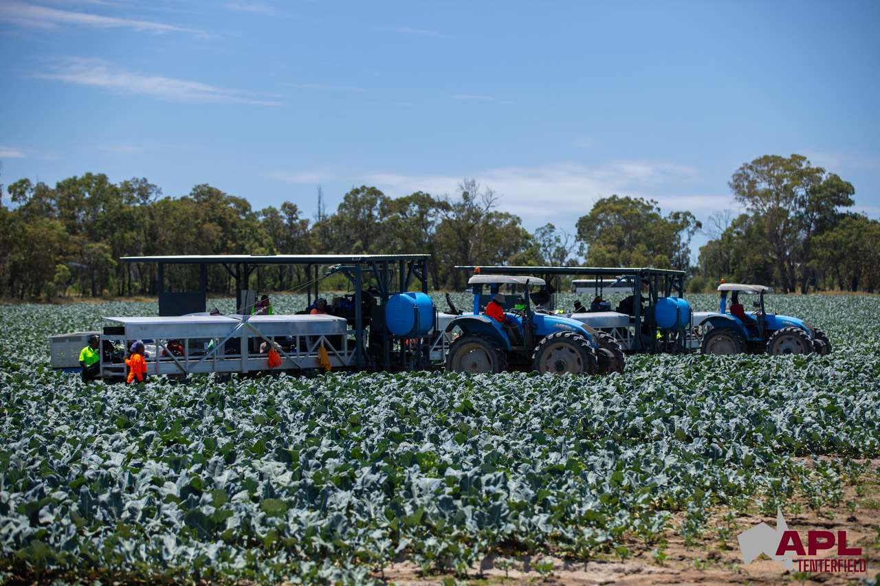1696 & 1799 New England Highway, Tenterfield Auction by Farmbuy.com - image 25