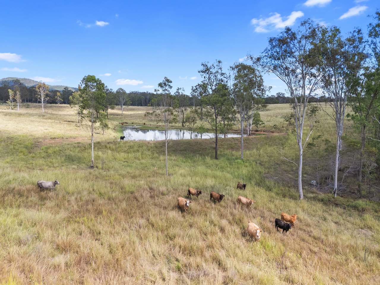 Lot 70 Brooweena Woolooga Road, Woolooga For Sale by Farmbuy.com - image 6