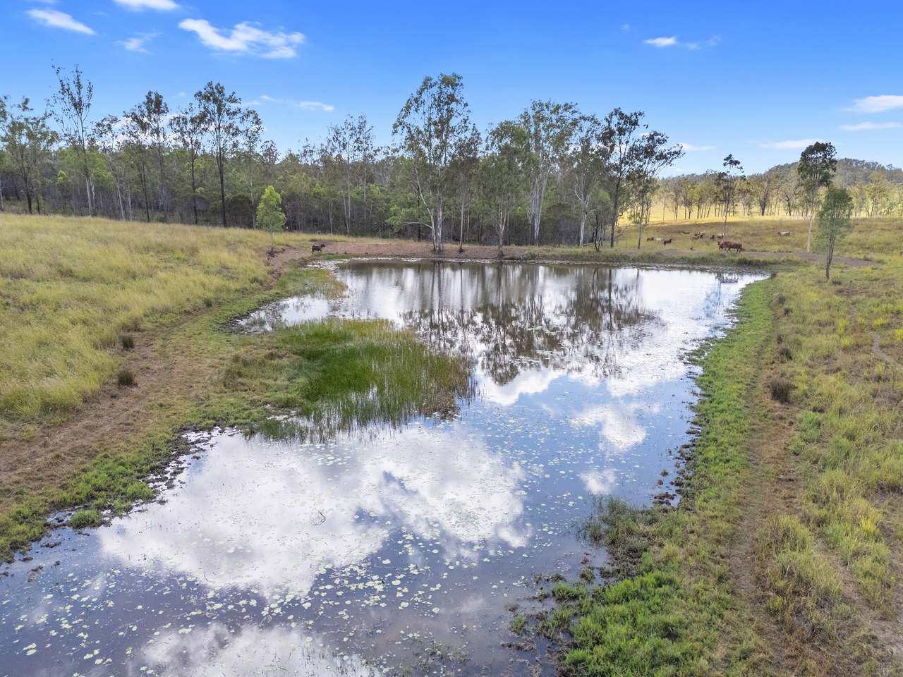 Lot 70 Brooweena Woolooga Road, Woolooga For Sale by Farmbuy.com - image 3