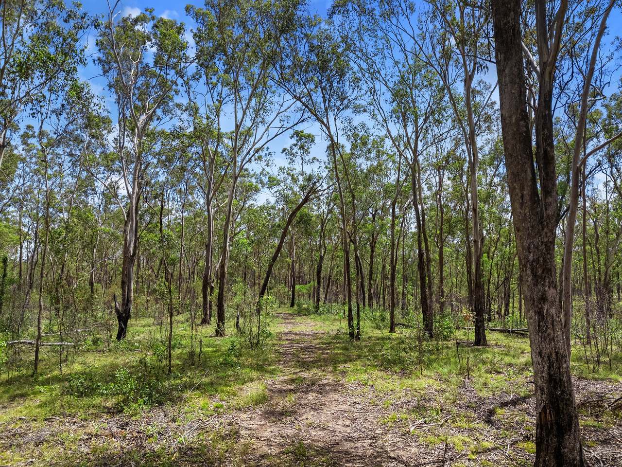 Lot 71 Brooweena Woolooga Road, Woolooga For Sale by Farmbuy.com - image 5