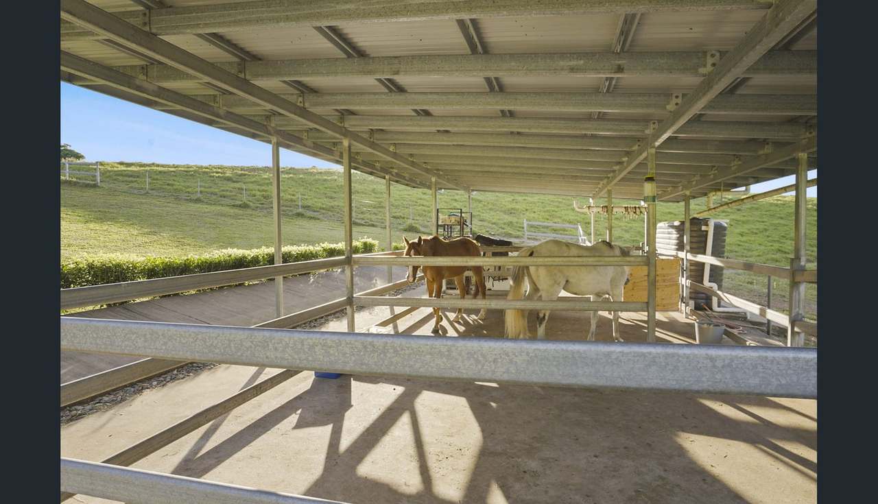 53 Guludu Close, Danbulla For Sale by Farmbuy.com - image 30