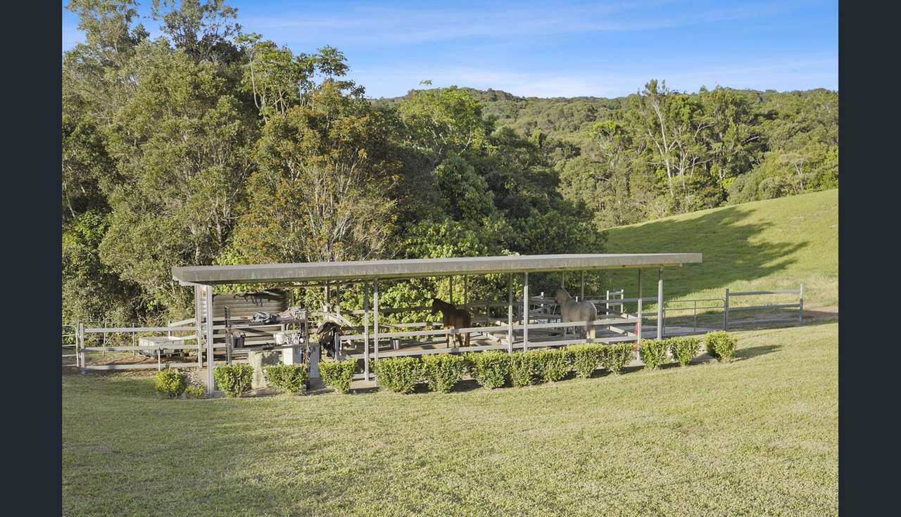 53 Guludu Close, Danbulla For Sale by Farmbuy.com - image 31