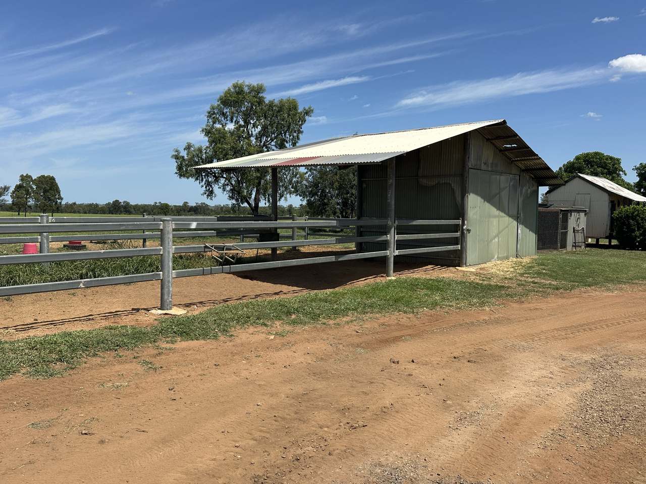 786 Malvern Road, Capella Auction by Farmbuy.com - image 14