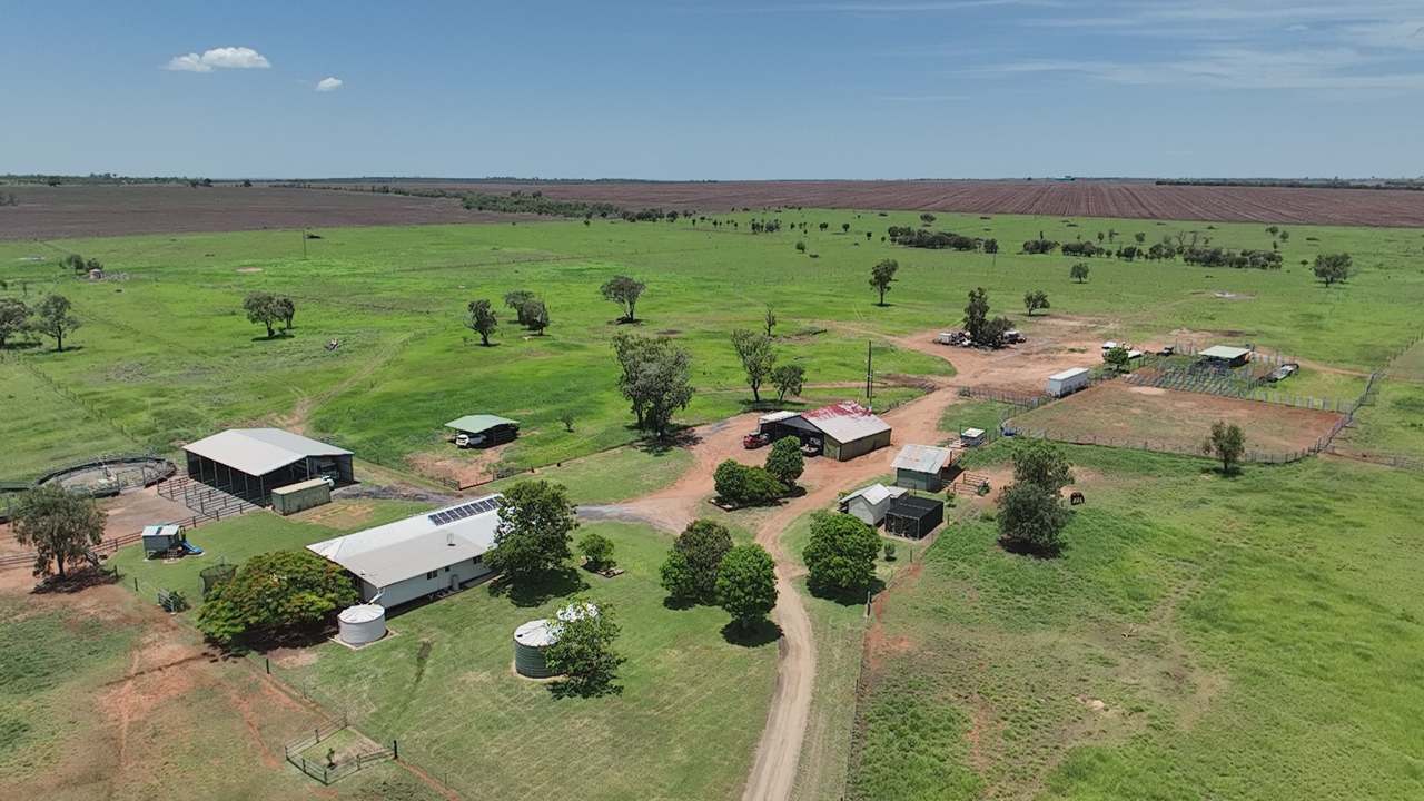 786 Malvern Road, Capella Auction by Farmbuy.com - image 3