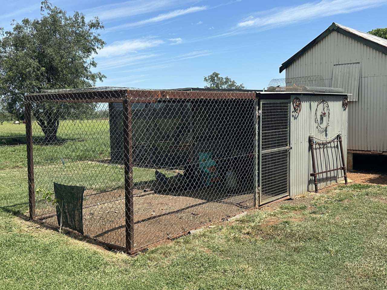 786 Malvern Road, Capella Auction by Farmbuy.com - image 15