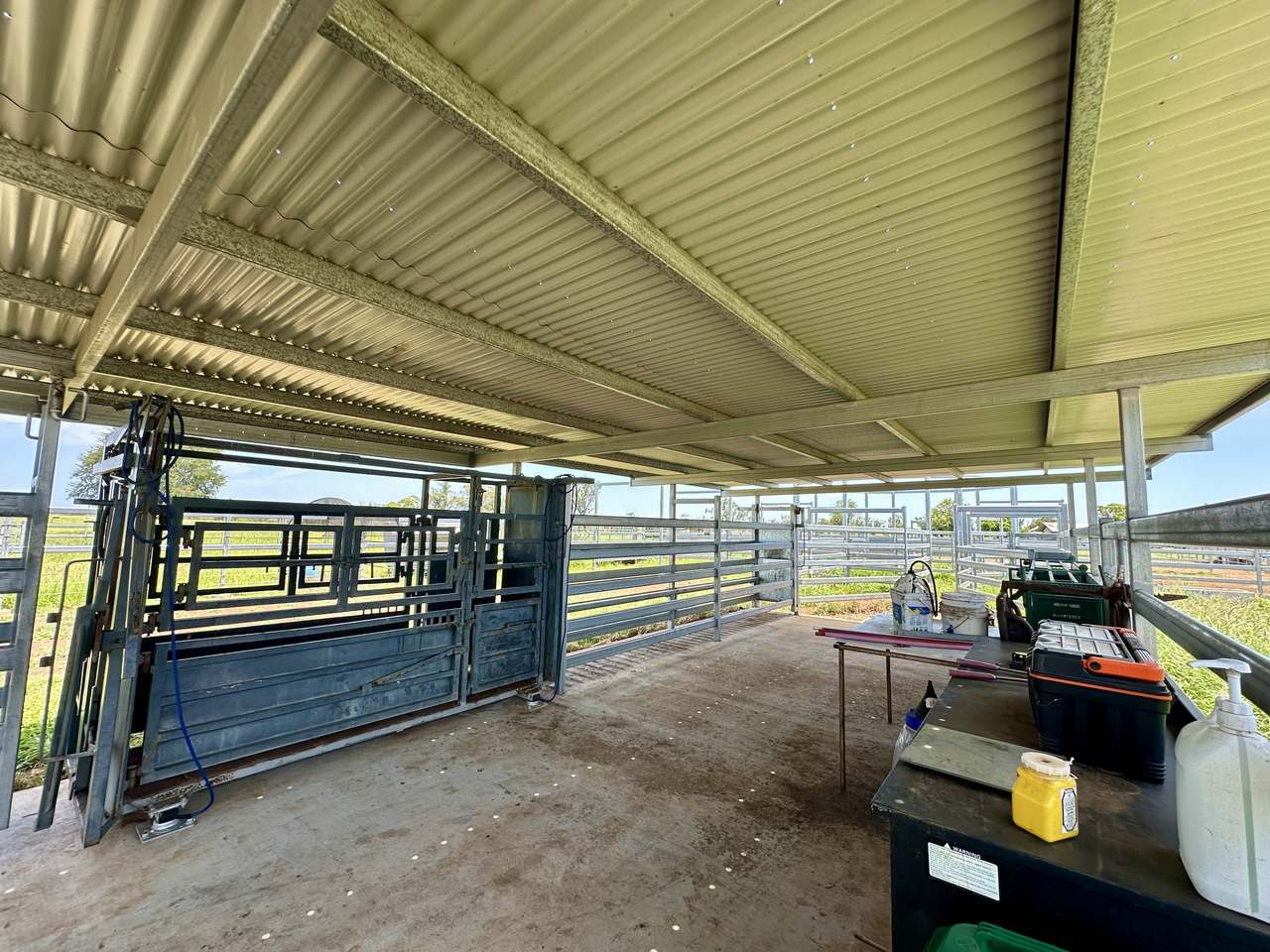 786 Malvern Road, Capella Auction by Farmbuy.com - image 7