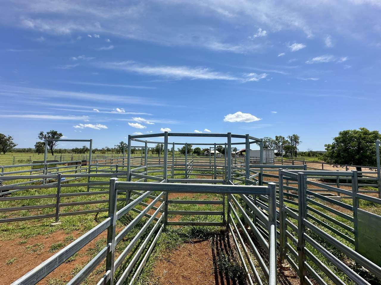 786 Malvern Road, Capella Auction by Farmbuy.com - image 8