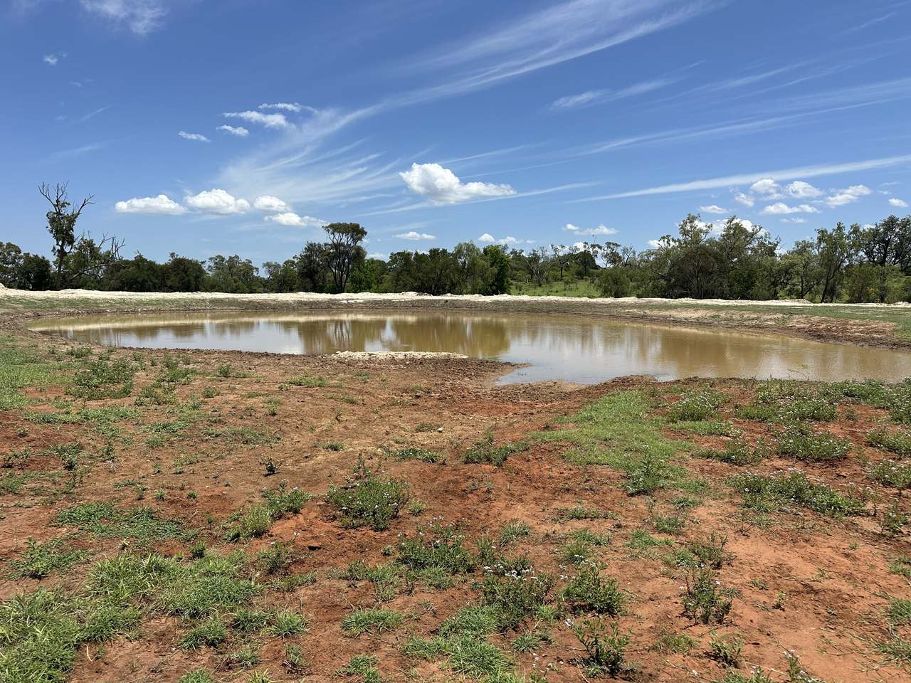 786 Malvern Road, Capella Auction by Farmbuy.com - image 10