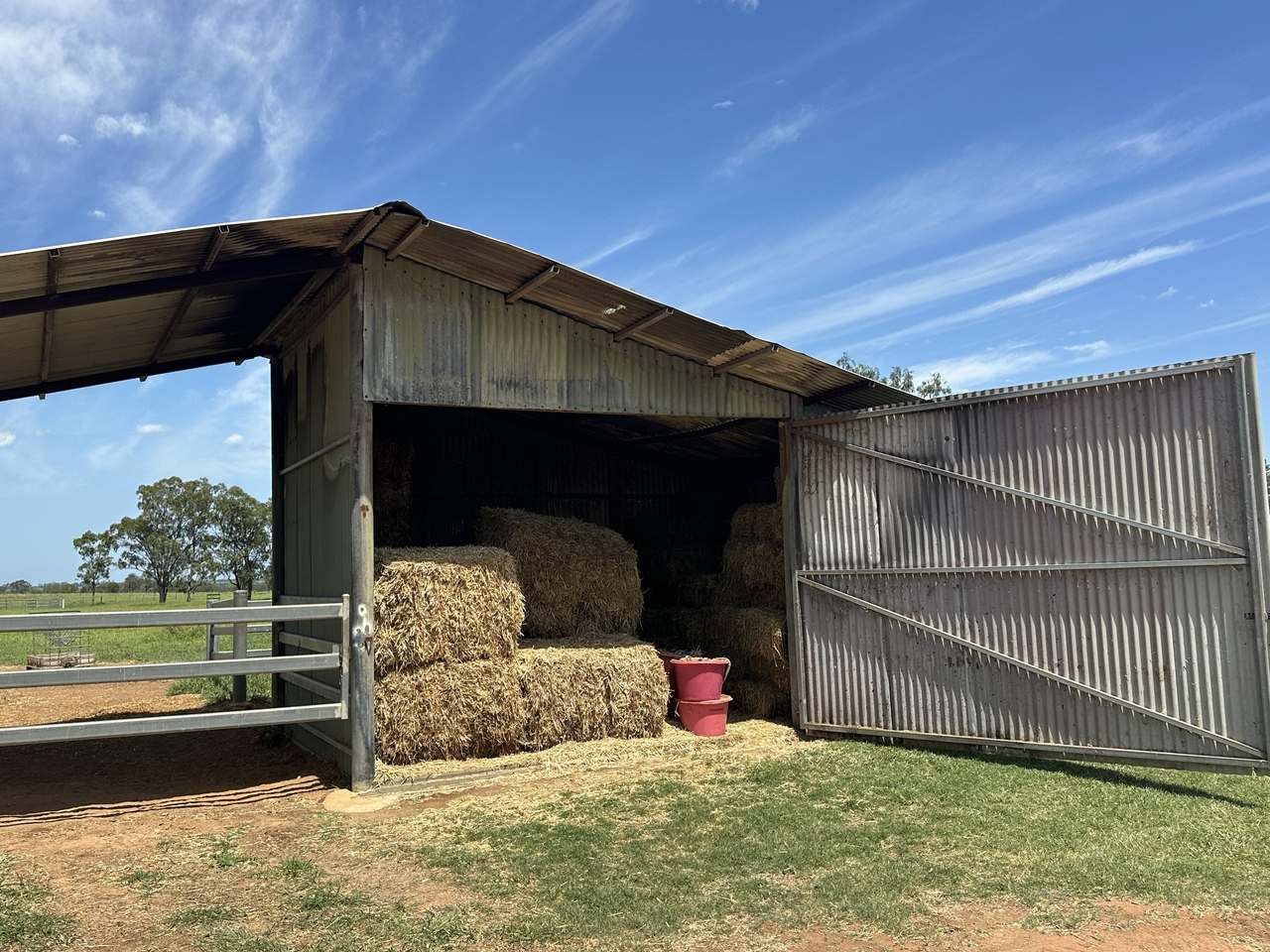 786 Malvern Road, Capella Auction by Farmbuy.com - image 13