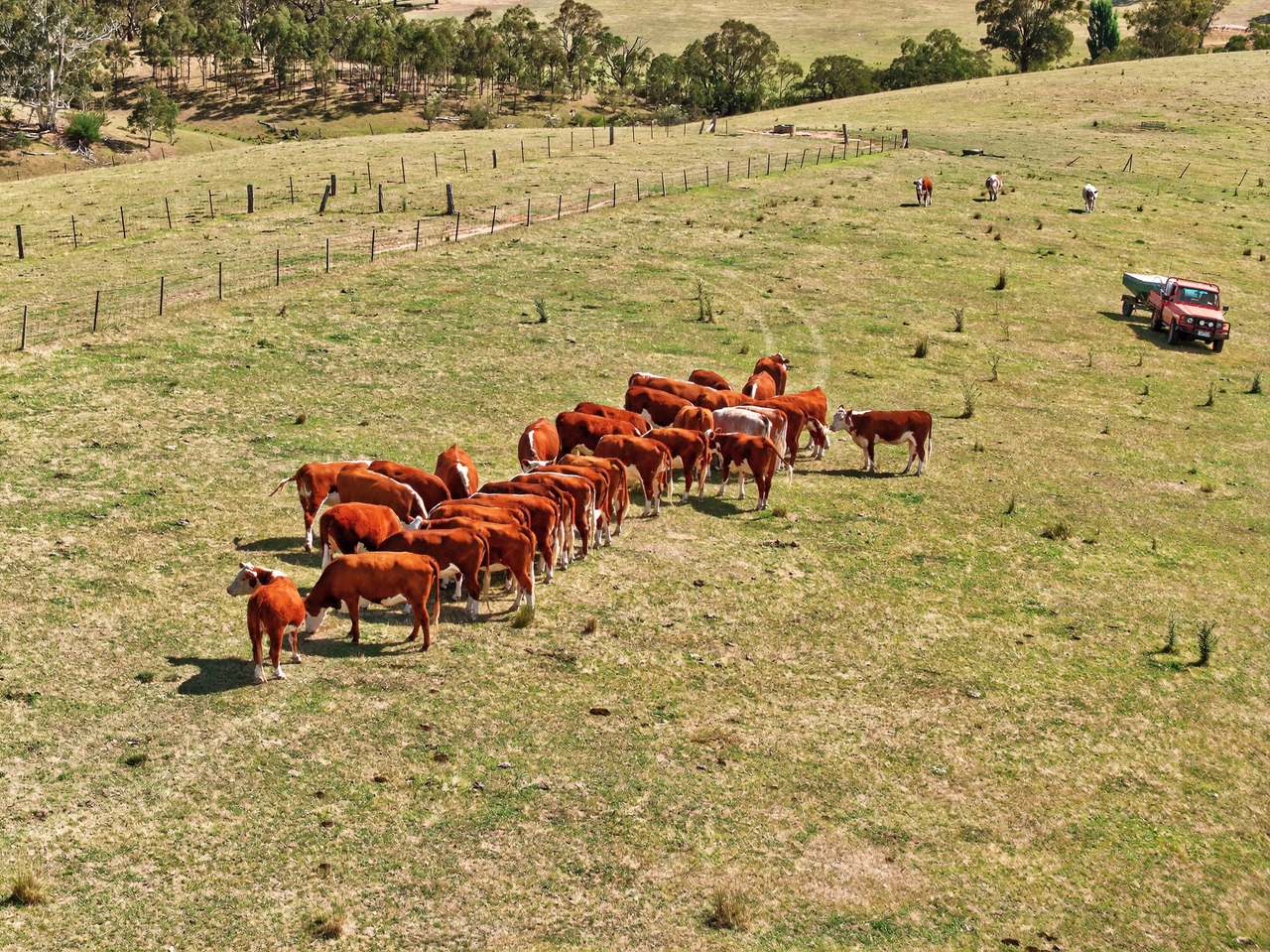 89 Ensay Doctors Flat Road, Ensay Expressions of Interest by Farmbuy.com - image 10