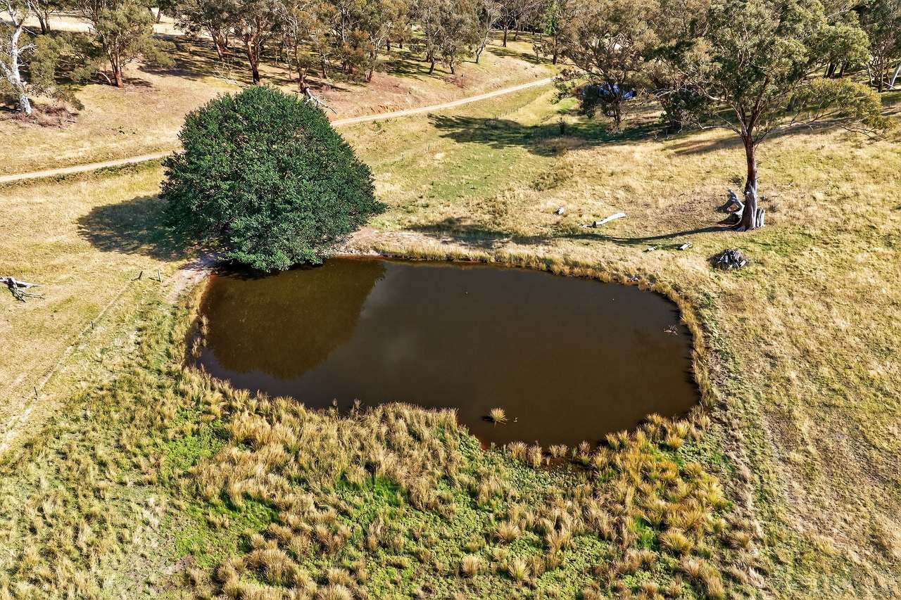 89 Ensay Doctors Flat Road, Ensay Expressions of Interest by Farmbuy.com - image 3