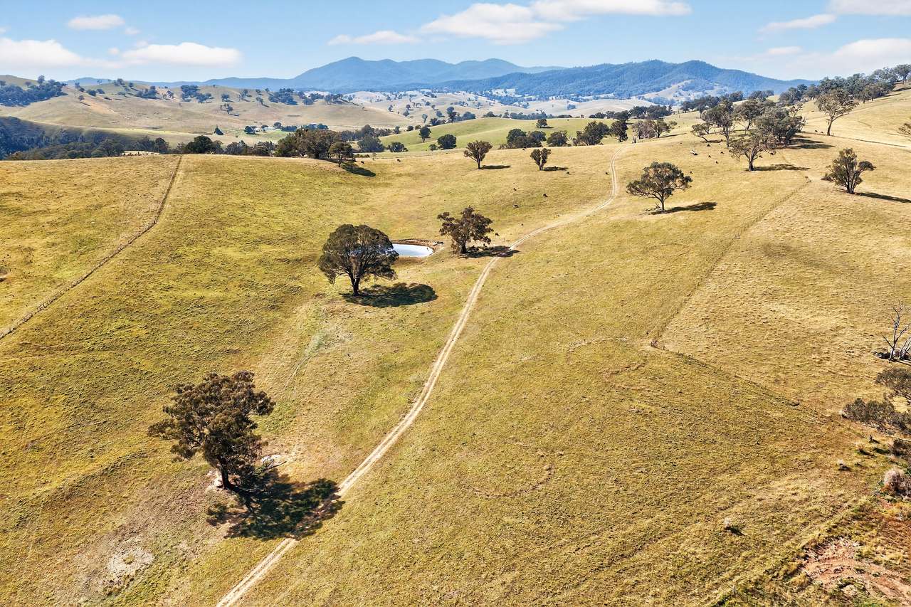 89 Ensay Doctors Flat Road, Ensay Expressions of Interest by Farmbuy.com - image 5