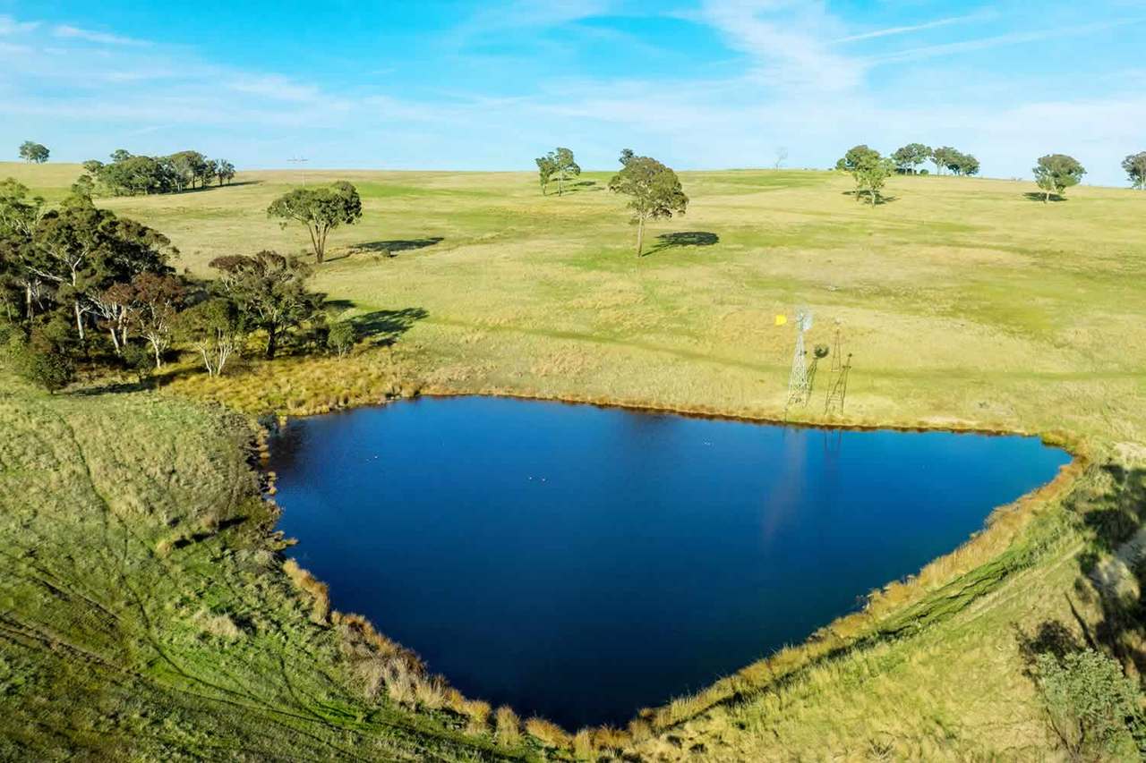 The Ranch, Bathurst Auction by Farmbuy.com - image 3