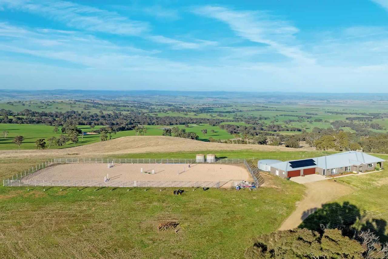 The Ranch, Bathurst Auction by Farmbuy.com - image 6
