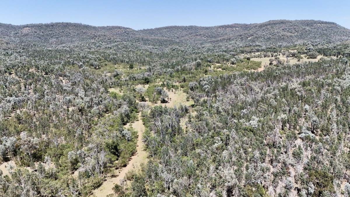 957 Killarney Gap Road, Bingara For Sale by Farmbuy.com - image 12