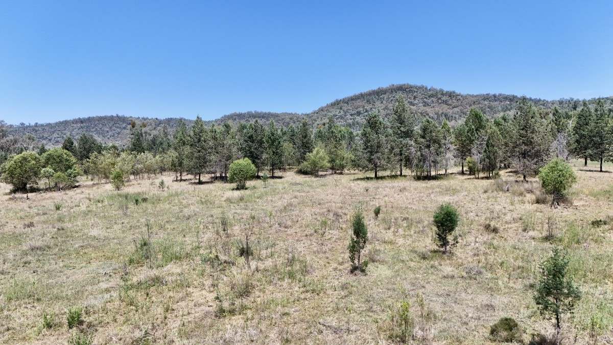 957 Killarney Gap Road, Bingara For Sale by Farmbuy.com - image 17