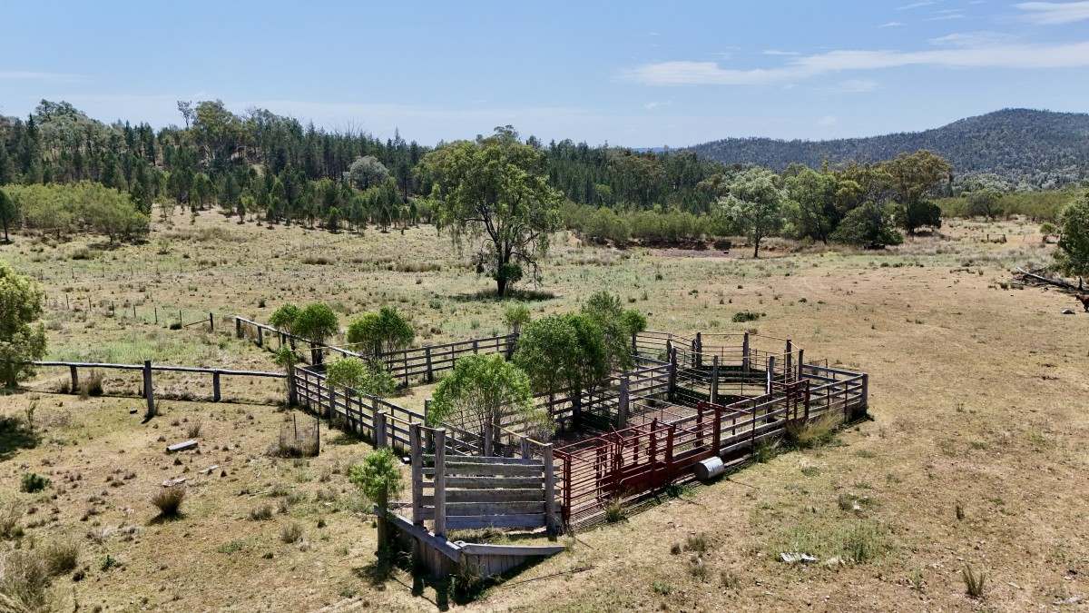 957 Killarney Gap Road, Bingara For Sale by Farmbuy.com - image 4