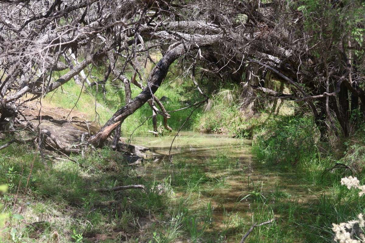 957 Killarney Gap Road, Bingara For Sale by Farmbuy.com - image 2