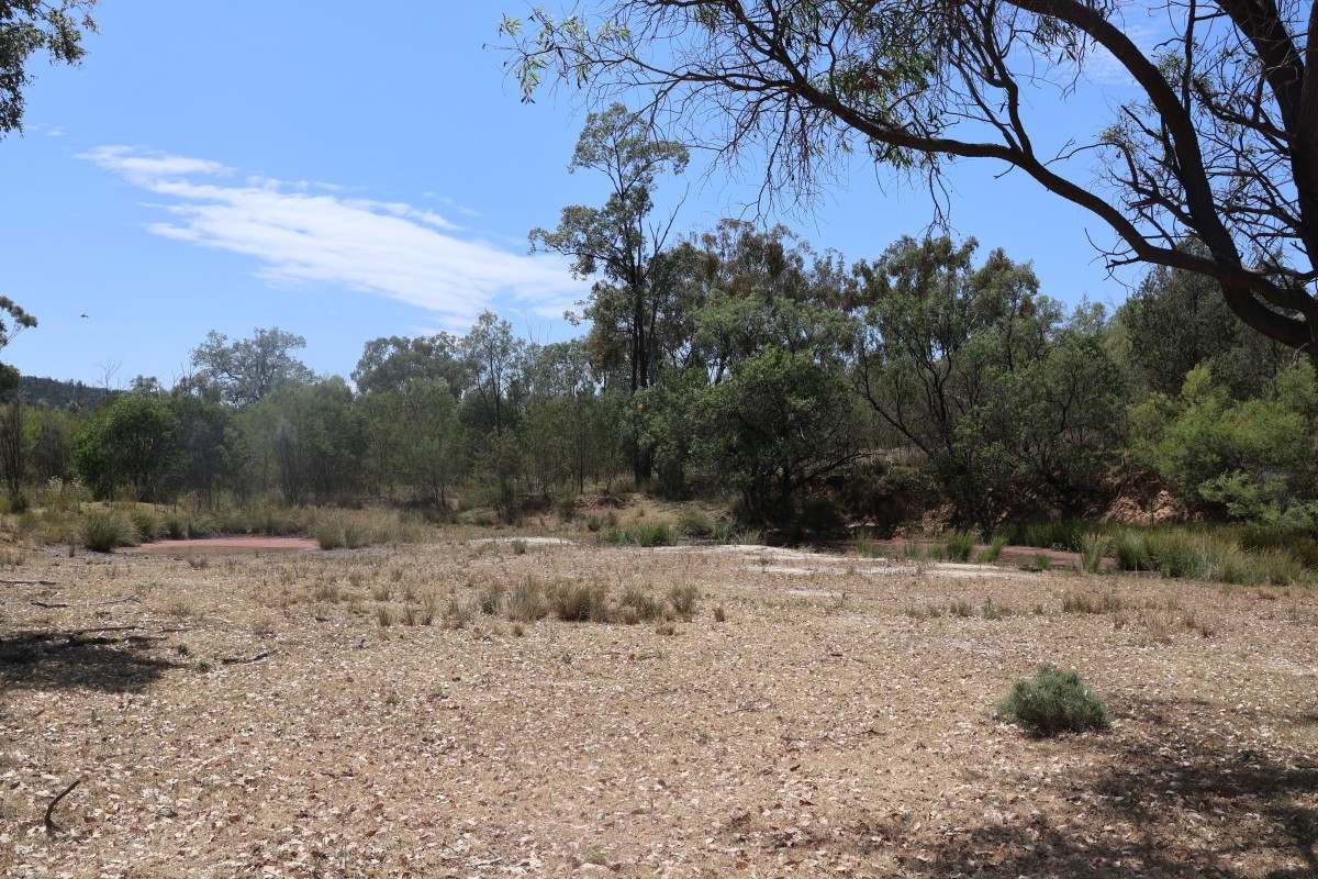 957 Killarney Gap Road, Bingara For Sale by Farmbuy.com - image 7