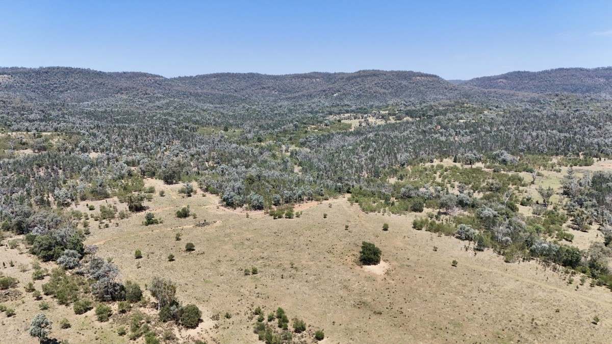 957 Killarney Gap Road, Bingara For Sale by Farmbuy.com - image 15