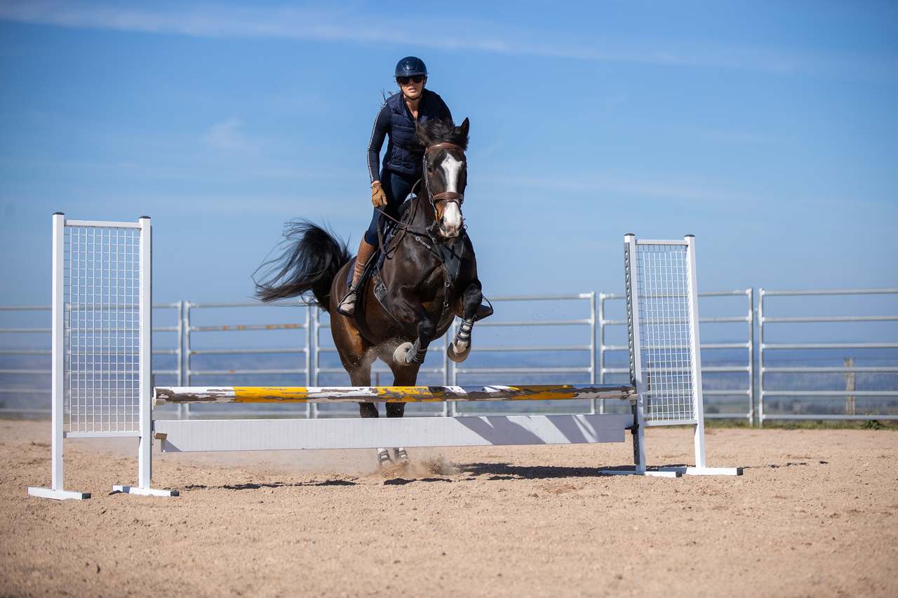 4181 Great Western Highway, Bathurst Auction by Farmbuy.com - image 9