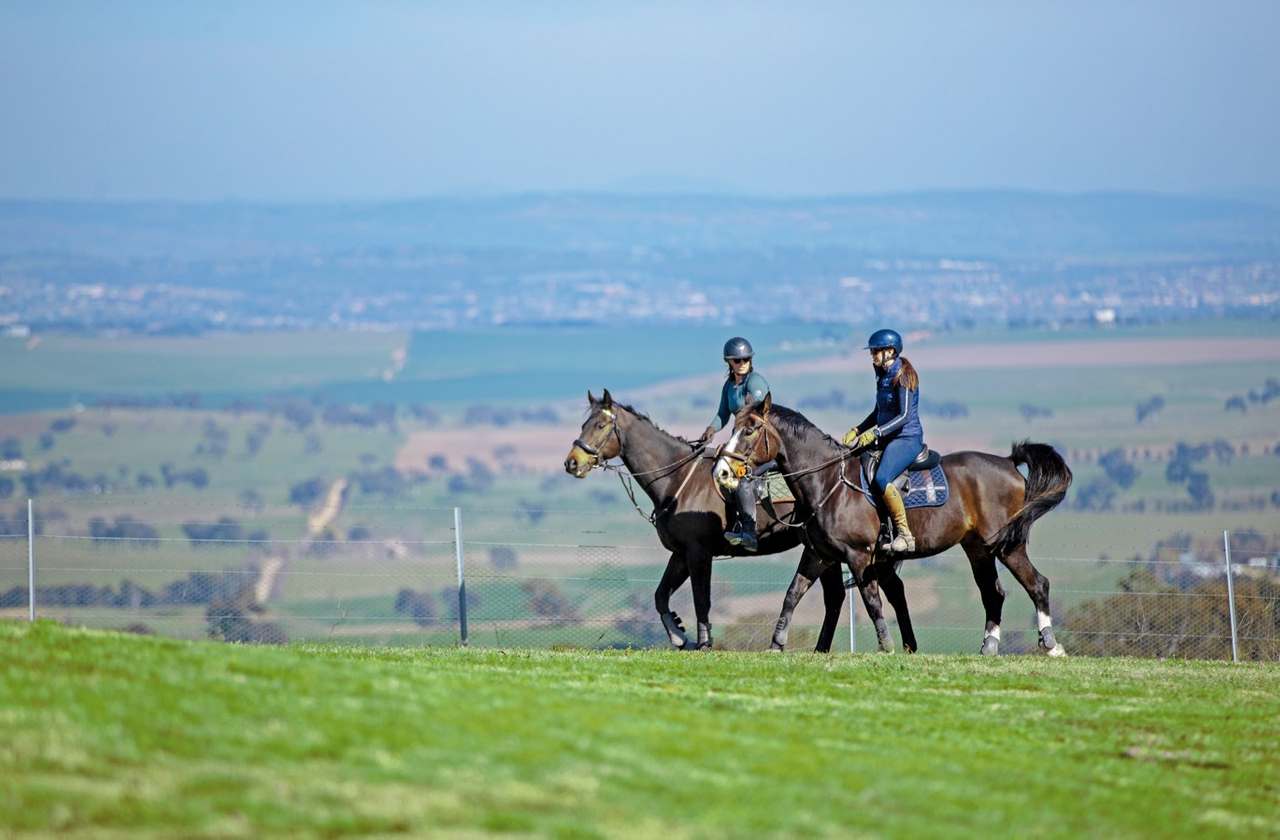 4181 Great Western Highway, Bathurst Auction by Farmbuy.com - image 3