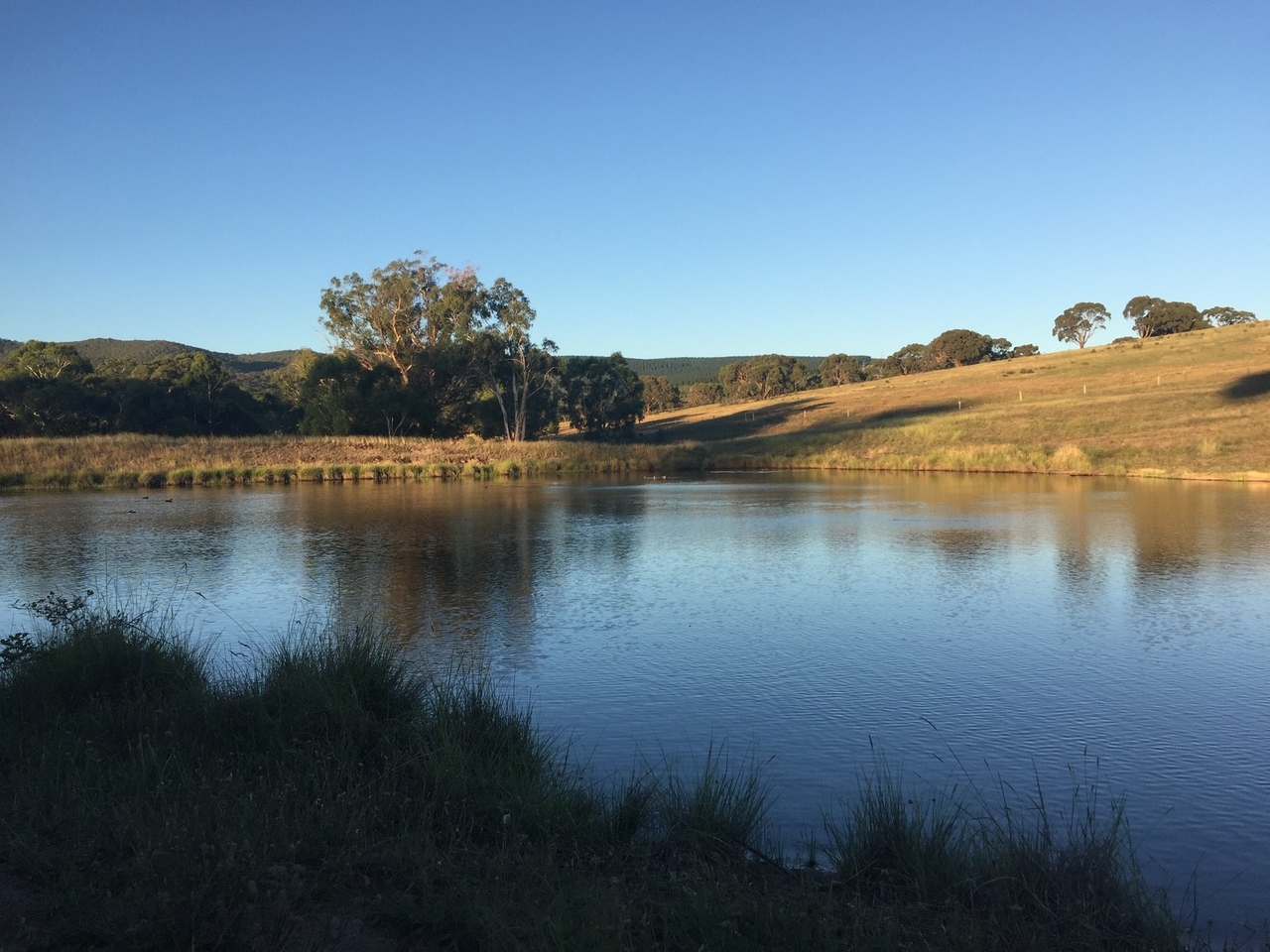 4181 Great Western Highway, Bathurst Auction by Farmbuy.com - image 12