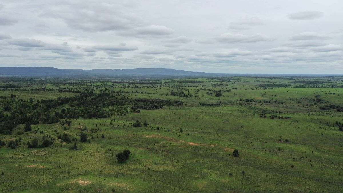 WOONOONA, Roma Auction by Farmbuy.com - image 19