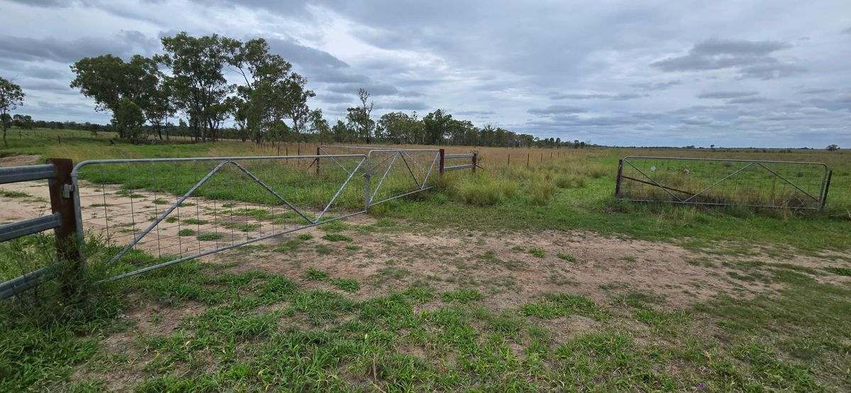 WOONOONA, Roma Auction by Farmbuy.com - image 39