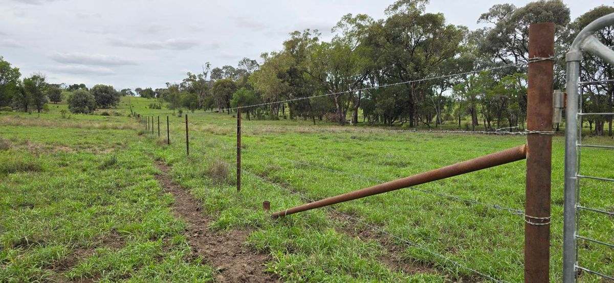 WOONOONA, Roma Auction by Farmbuy.com - image 38