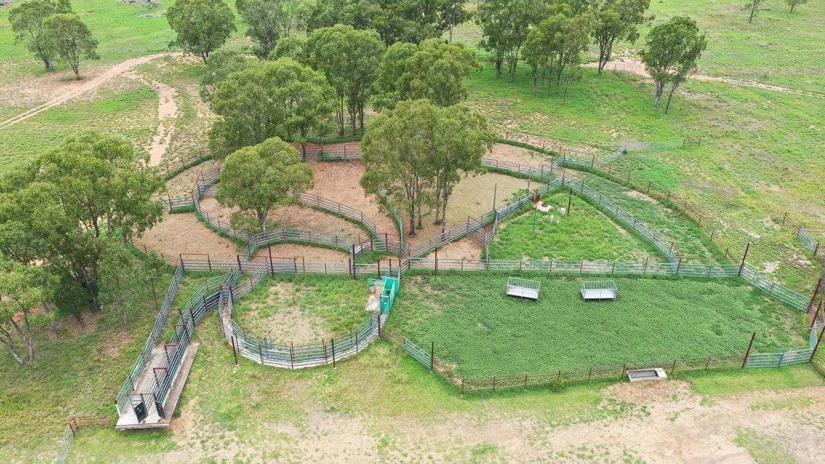 WOONOONA, Roma Auction by Farmbuy.com - image 25