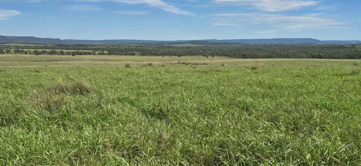 WOONOONA, Roma Auction by Farmbuy.com - image 3