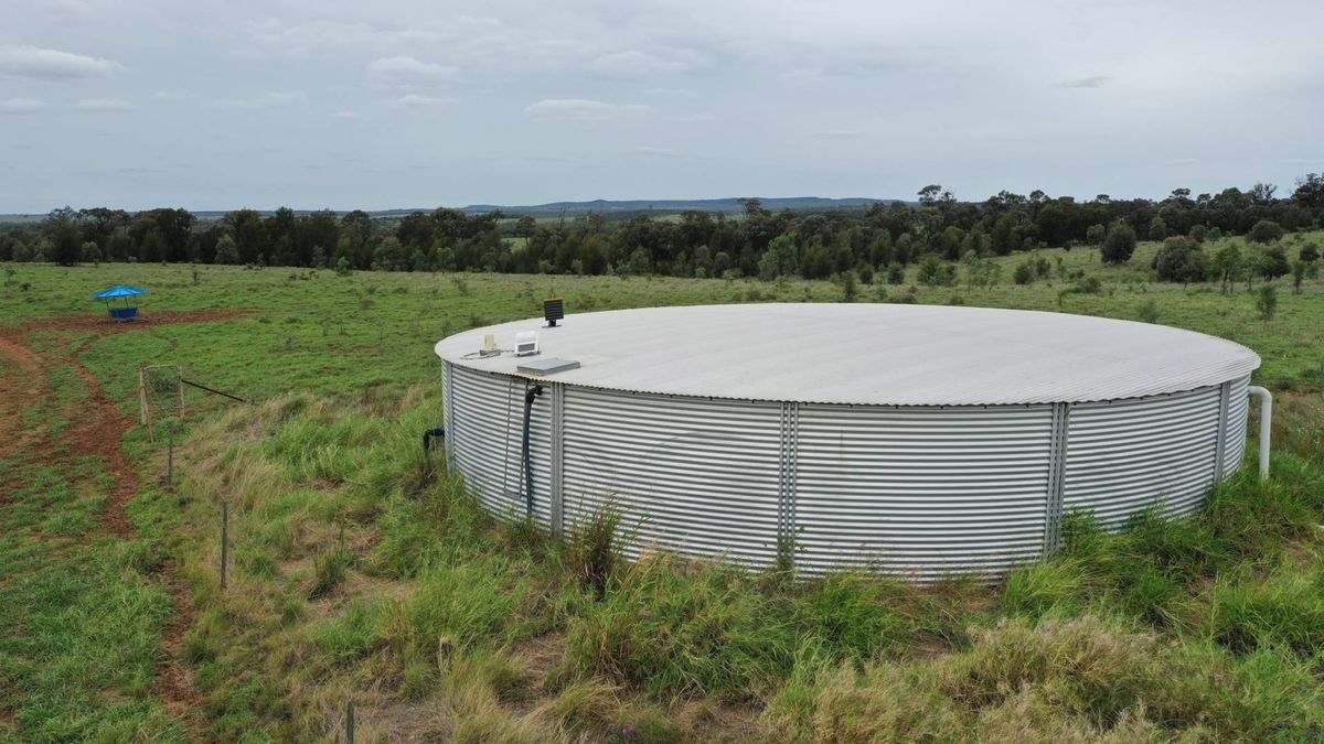 WOONOONA, Roma Auction by Farmbuy.com - image 34