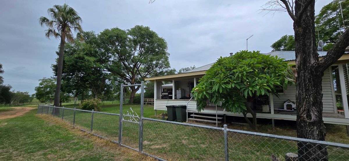 WOONOONA, Roma Auction by Farmbuy.com - image 44