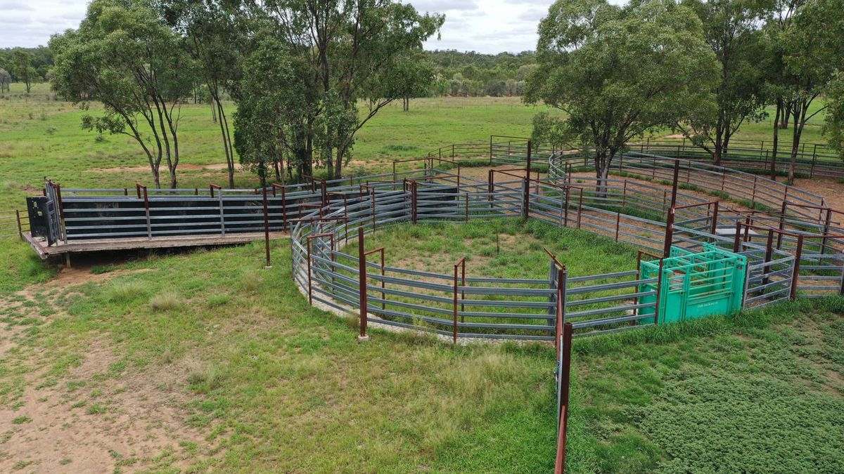 WOONOONA, Roma Auction by Farmbuy.com - image 30