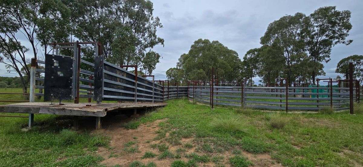 WOONOONA, Roma Auction by Farmbuy.com - image 26