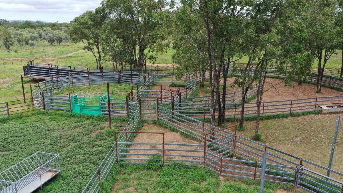 WOONOONA, Roma Auction by Farmbuy.com - image 27