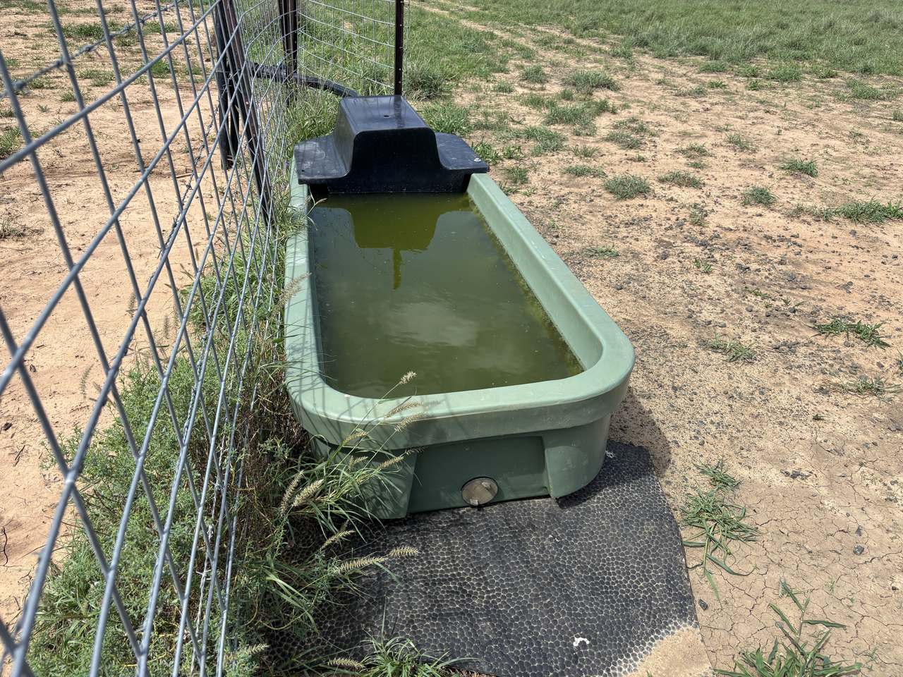 586 Bindango Road, Roma Auction by Farmbuy.com - image 28