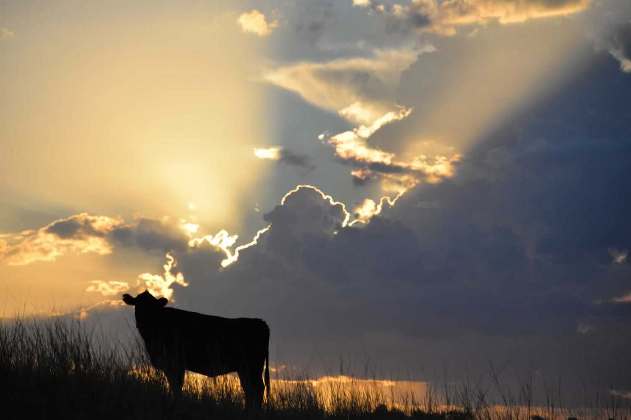 7370 Hunter Road, Ellerston Expressions of Interest by Farmbuy.com - image 7