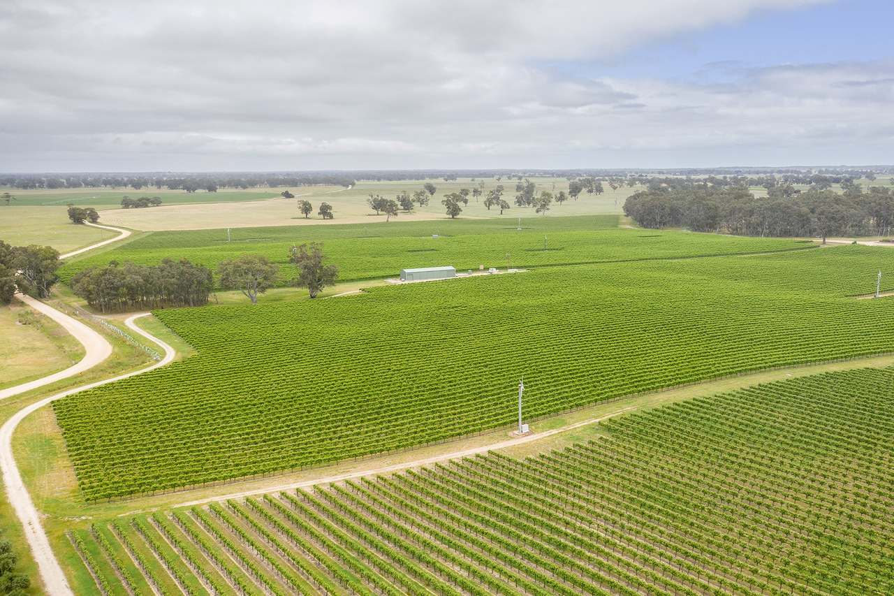 89 Nolans Road, Hynam For Sale by Farmbuy.com - image 10