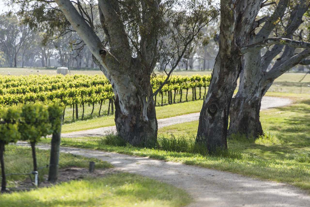 89 Nolans Road, Hynam For Sale by Farmbuy.com - image 7