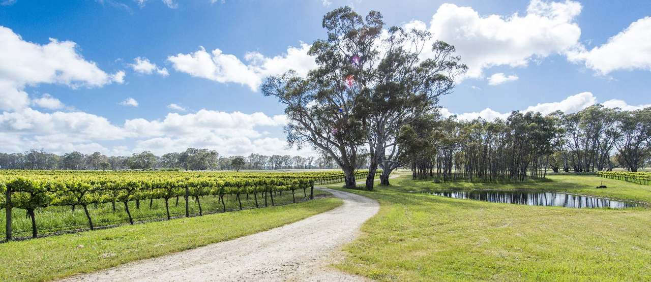 89 Nolans Road, Hynam For Sale by Farmbuy.com - image 2